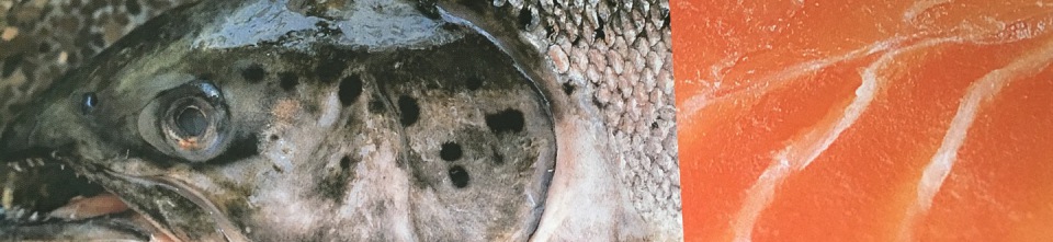 I S T    I M    A U F B A U